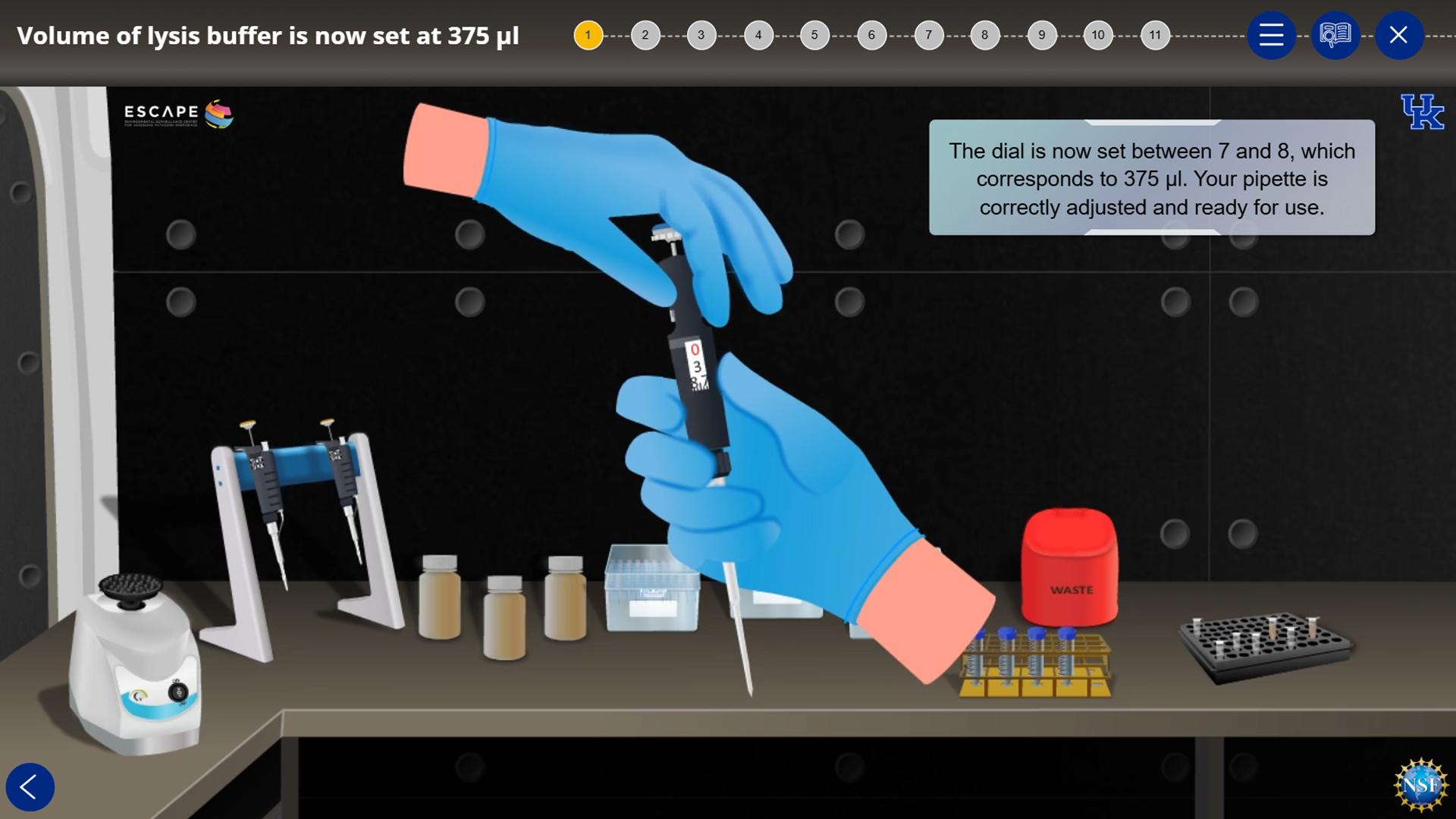 A screen from step 1 of the simulation showing how to correctly adjust a pipette ready for use.